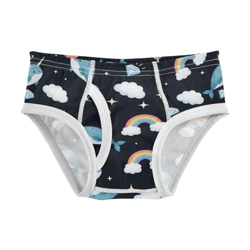 CHIFIGNO Cute Whale Rainbow Black Boys' Briefs Cotton Boys Underwear Soft Breathable Underwear Briefs