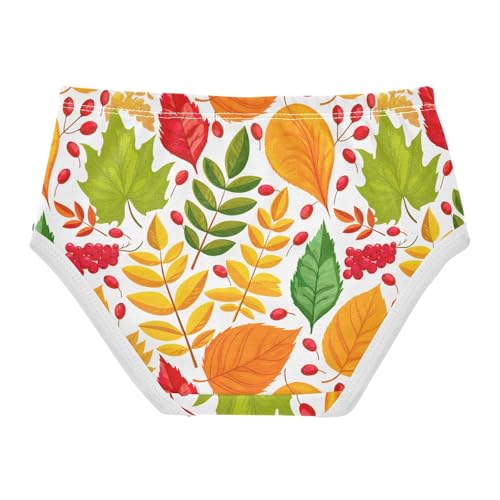 Joisal Cotton Toddler Underwear Floral Autumn Leaves Berries Little Girl Panties Colorful Briefs Girls Undies 2t2