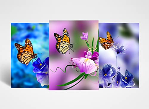 Carteles de mariposa A3 para renovar las paredes vacías con un póster de animales y plantas