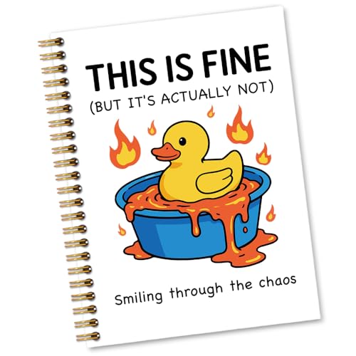 Cadeau santé mentale This Is Fine carnet rigolo pour anniversaire et départ collègue