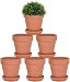 5 Inch Terra Cotta Pots with Saucer - 6 Pack Clay Flower Pots with Drainage, Great for Plants, Crafts, Wedding Favor (5 inch)