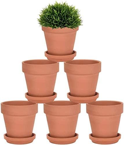 Riseuvo 5 Inch Terra Cotta Pots with Saucer - 6 Pack
