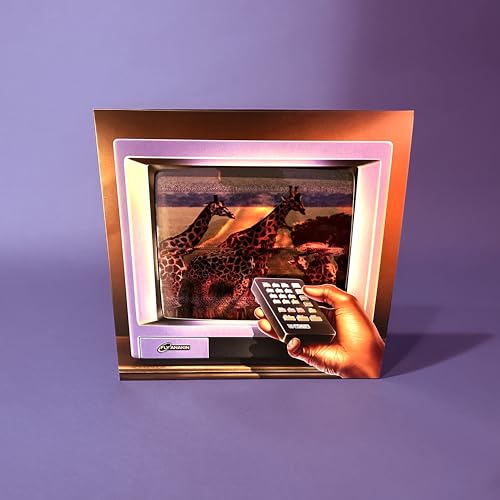 Portada del vinilo Skinemaxxx de Fly Anakin