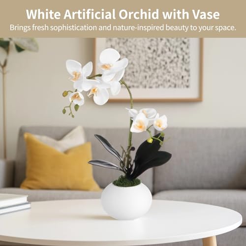 Orchidée blanche au toucher réaliste pour décoration de table de salon