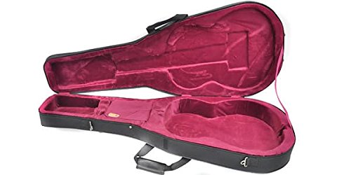 トップ単板James JF400 / セミハードケースHOSCO AC-0703 トップ単板James JF400 / セミハードケースHOSCO AC-0703 トップ単板