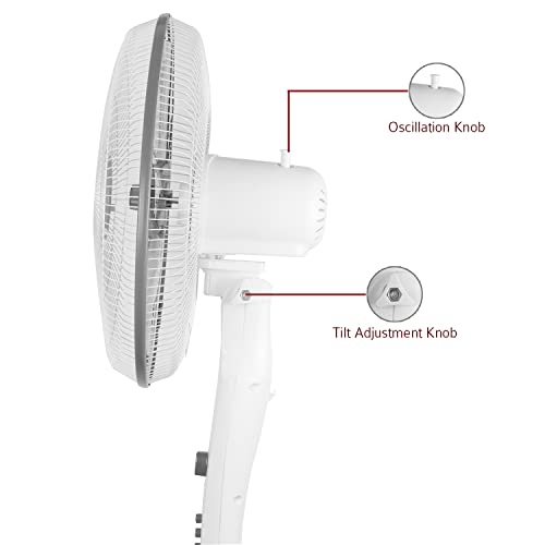 Image of IBELL STORM P10 WHITE High Speed Pedestal Fan, 5 Leaf, 406mm, 2 hour Timer, Stand fan with Copper Motor (White)