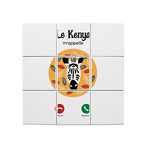 Carreaux céramique zèbre Kenya lot de 9 pièces 45x45 cm décoration murale