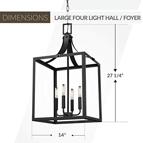 Seagull Sea Gull 5340604-12 Transitional Four Light Hall/Foyer Pendant From Labette Collection In Black Finish, 14.00 Inches, Large #TOP2