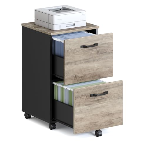 VASAGLE 2-Drawer File Cabinet, Small Rolling Filing Cabinet for Home Office, Printer Stand, for A4, Letter-Size Documents, 15.7 x 16.5 x 27.6 Inches, Heather Greige and Ink Black UOFC040B02