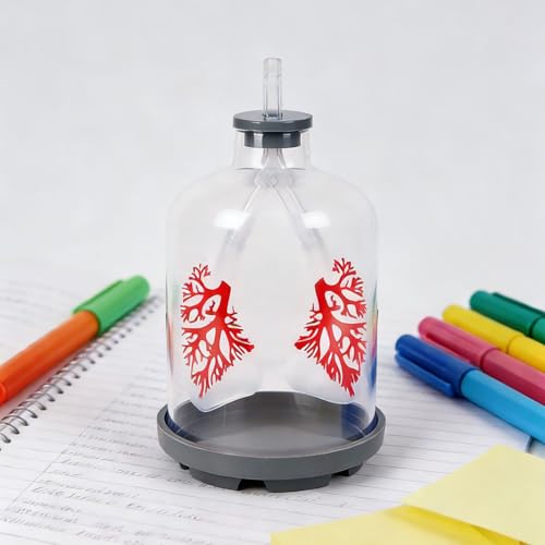 Modèle d'échange de gaz pulmonaire pour simuler la diaphragme - 5