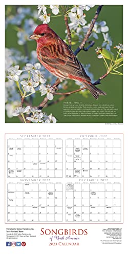 Songbirds Of North America 2023 Wall Calendar, 16-Month Nature Calendar, 12" X 12" #TOP2