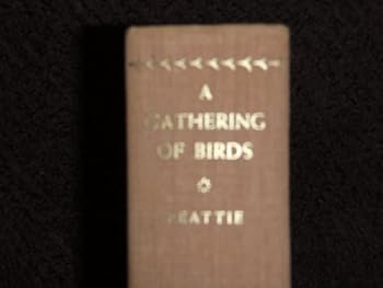 A Gathering of Birds
