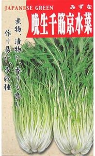 水菜 種 晩生千筋京水菜 小袋 約８ｍｌ 野菜 Amazon