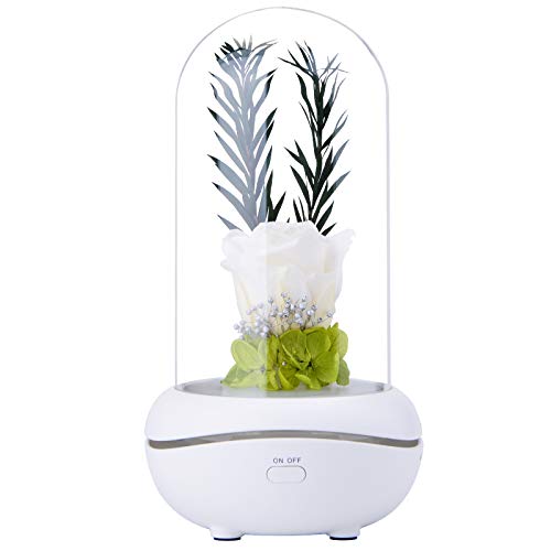 Bainuojia Rosa Eterna Flower Lamp en Glass, LED Aromaterapia Luz con Flor de Rosa,Romántico Aceites Esenciales Difusor Regalos para el hogar para Navidad San Valentín Aniversario Regalo,Blanco
