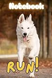 white german shepherd puppies for sale in pa  White German Shepherd Notebook: Run Journal, 120 Lined Pages, 6\