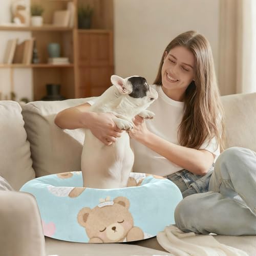 Lit orthopédique pour chien contre le mal de dos petit panier