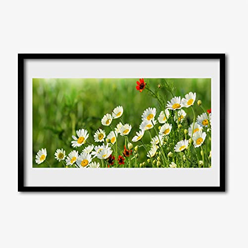 Affiche encadrée photo 60x40 cm cadre en mdf décoration murale chambre cuisine daisy plant