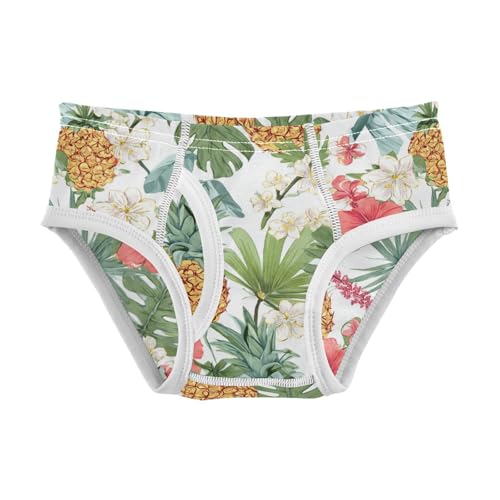 Wusikd Tropical Floral Boys' Underwear Cotton Pineapple Boys Briefs Soft Toddler Underwear 2T