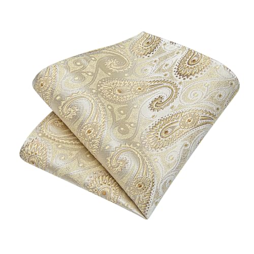 Image of DiBanGu Silk Floral Ties for Men Woven Paisley Necktie and Tie Clip Handkerchief Cufflinks Set for Party Wedding