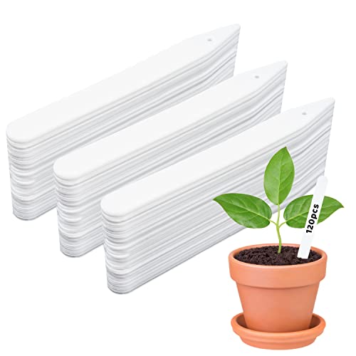 Plastik Pflanzenstecker, 120 pcs Pflanzschilder Mini, 12 cm Pflanze Beschriften, Pflanzenetiketten mit Loch, Wetterfest Kunststoff Garten Etiketten, Stecketiketten, für Anzucht Zubehör, Pflanzen Cover
