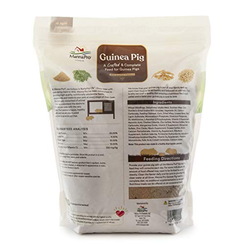 Manna Pro Guinea Pig Feed | With Vitamin C | Complete Feed For Guinea Pigs | No Artificial Colors Or Flavors | 5 Lb #TOP1