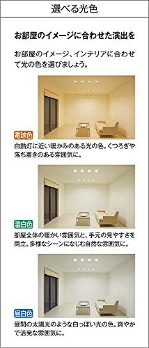 Amazon.co.jp: 大光電機（DAIKO） ダウンライト(軒下兼用) LED