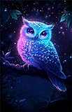 QiHon