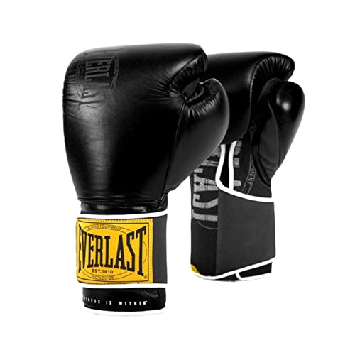 Top 10 Everlast 12 Oz Boxing Gloves of 2023 Best Reviews Guide