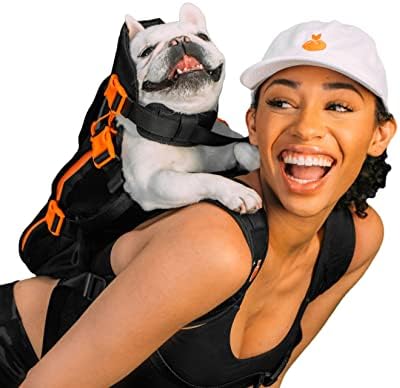 LITTLE CHONK The Maxine One S Small Dog Backpack Carrier - Front Facing, Safe and Comfortable, Black
