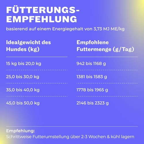 HEY HOLY Premium Nassfutter für große Jagdhunde 100% getreidefrei | 6X 400g Hundefutter für ausgewachsene große Jagdhunde mit Ente | Hochverträglich aus natürlichen Zutaten