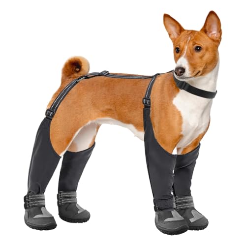 Botas con tirantes para perro, zapatos impermeables para perros, botas altas para perros, zapatos de nieve para perros, botas de leggings para perro, calzado de invierno para perro, botas de nieve