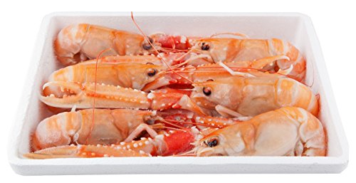 Cigalas crudas congeladas - caja de 5 a 7 piezas, 1.5 Kg