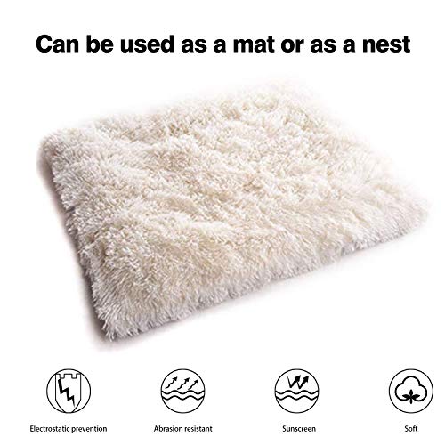 PETCUTE Coperta da Letto per Gatti Coperta Pile