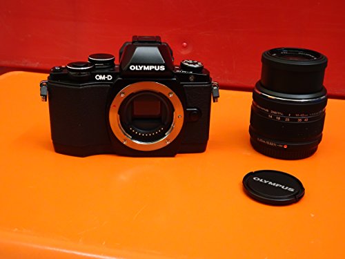 Olympus E-M10 appareil photo hybride WiFi pour immortaliser vos voyages en famille
