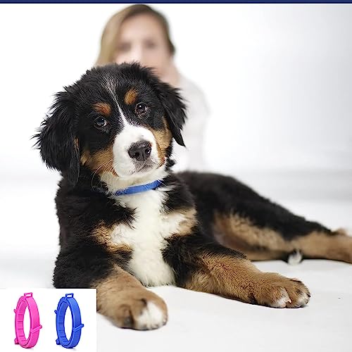SSyang Leuchtendes Präventionshalsband, 2 Stücke Zeckenhalsband für Hunde und Katzen Gegen Parasiten mit bis 8-Monatigen Schutz,Fluoreszierendes Halsband Universell Jede Größe Verstellbar(Rosa+Blau)