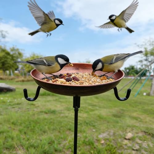 Bain d'oiseau stable et durable contre le vent station eau oiseaux jardin - 3