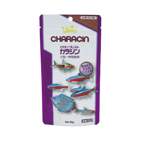 ЂNXg JV 80g 3Mы GT L[