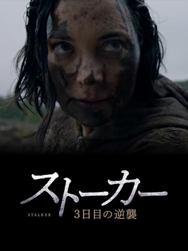 （字幕版）ストーカー 3日目の逆襲のサムネイル