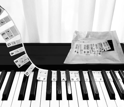Silicone Piano Keyboard Note Labels with Storage Bag