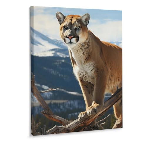 Toile murale Panther Mountain Lion 40x30 cm avec cadre pour salon