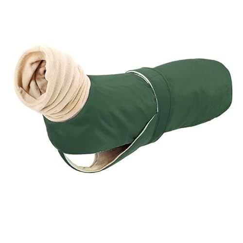 ̃R[gDF̃IIJ~}t[HgybghWPbg^^ (4XL,bh)