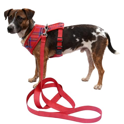 Pettorina per cani di piccola taglia, guinzaglio incluso, a forma di Y, facile da camminare, regolabile, morbido, per chihuahua, labrador, cucciolo, Jack Russell, Husky, French Bul
