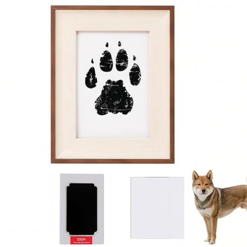 Lifetips liShikoku Inuj ybgp  X^v Lbg ^  ``X^v `쐬Lbg LO  Ȃ `    ` ^ ȒP S y Ճpbh IWi vg ] 