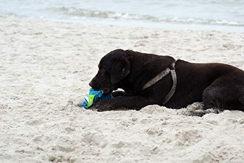 Dingo Mop Bungee Blau Mikrofaser mit Vanille Duft Ball Hundespielzeug Agility Apporte zum Spielen Tauziehen Beweglichkeit Wassertraining 15587-2