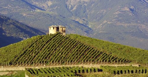 Valle d'Aosta: Giro delle Cantine tra vigneti, castelli e alla scoperta delle piante officinali