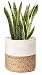 Mkono Cotton Rope Plant Basket with Water Hyacinth Modern Indoor Planter Up to 10 Inch Pot Woven Storage Organizer with Handles Home Decor Christmas Gift Idea, 11" x 11"