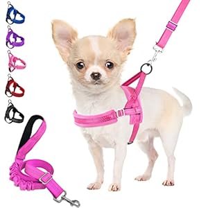 Eyein No Pull Small Dog Harness & Lead, Heavy Duty Easy for Walk Vest Harness Soft Padded Reflective Adjustable Puppy Harness Anti-Twist Pet Lead Quick Fit for Small Dog Cat Animal (xxs, pink)