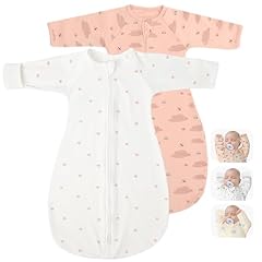 Apple & Bee Butterfly