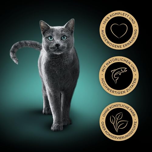 SHEBA Perfect PORTIONS Pastete für Katzen mit Lachs MSC-Zertifiziert 8 x 3 x (2 x 37.5g) = 225 g ( Verpackung wird aktualisiert ) 3