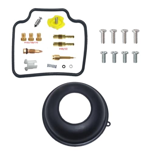 Kit réparation carburateur SLR650 1997-1998 avec flotteur et pointeau F-130